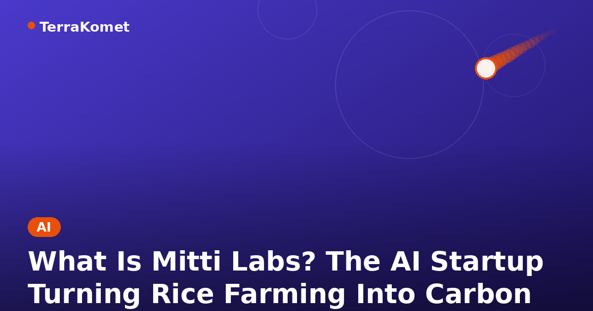 What Is Mitti Labs? The AI Startup Turning Rice Farming Into Carbon Credits